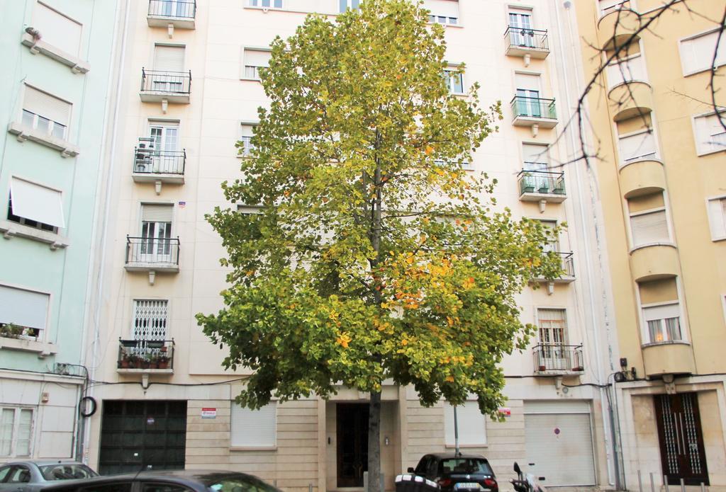 リスボンCasa Da Pracetaアパートメント エクステリア 写真